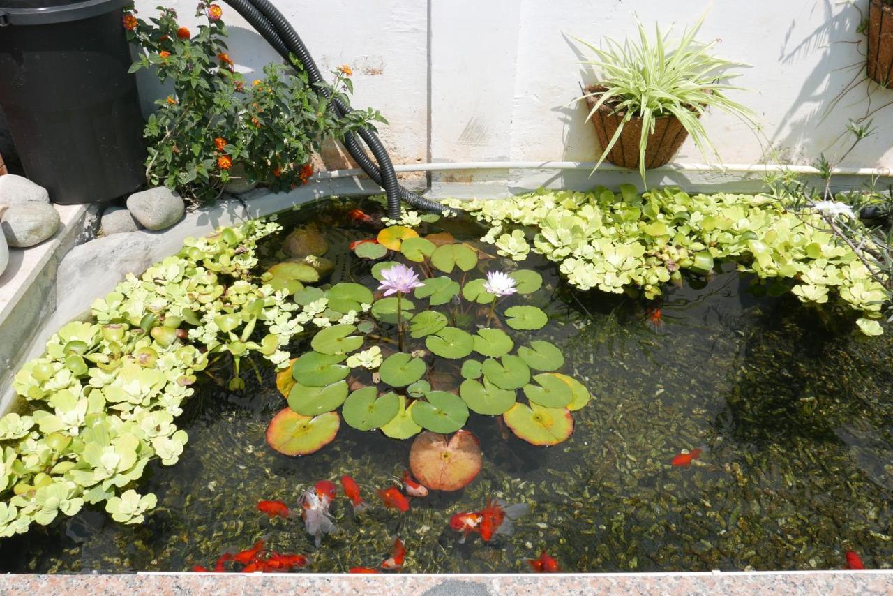 Nature Land 2 - Song Anh Hotel Dalat Exterior photo